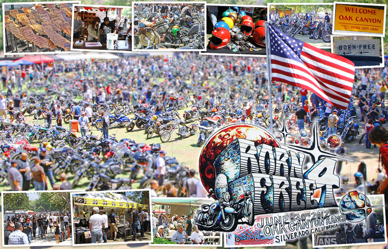 Steve's USA Trip Report - Born Free 4