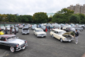 Photo: Crown Picnic Event
