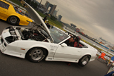 Photo: Muscle Maniac Event