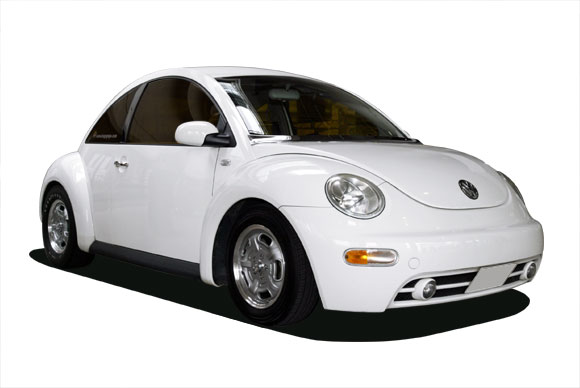 Beetle